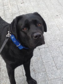 ATHOS